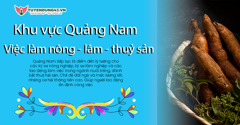 việc làm tại Quảng Nam